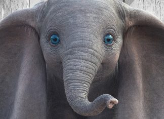 Cinemark anuncia pré-venda de ingressos para “Dumbo” de Tim Burton