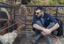 Brie Larson e Cara Delevingne participam de “Celebridades à Prova de Tudo”