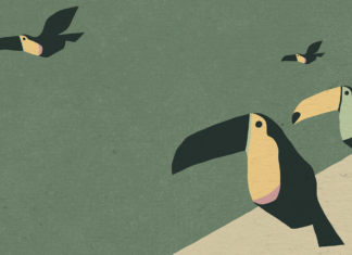 National Geographic Brasil lança projeto que mostra os biomas brasileiros em formato de animação