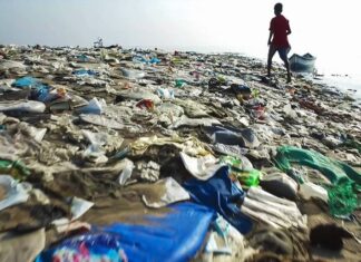 National Geographic exibe documentários no “Dia Internacional Sem Sacos de Plástico”