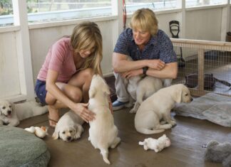 Confira os grandes filmes da FOX Life na semana do Dia das Crianças