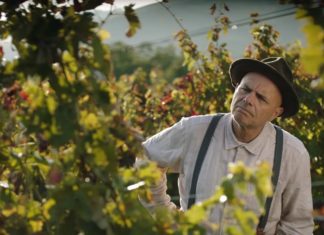 Crítica: Vinícola dos Sonhos